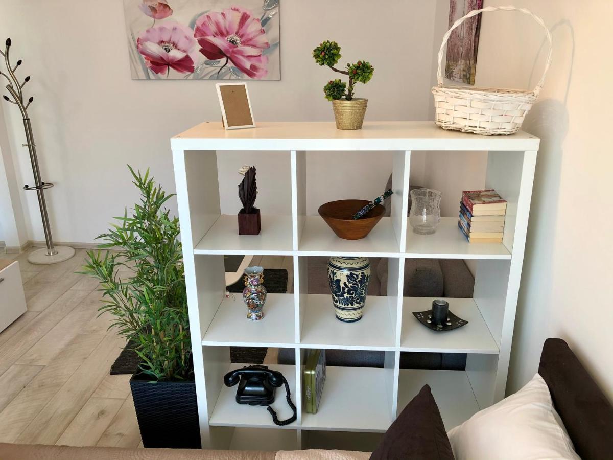 בלגרד Modern Studio מראה חיצוני תמונה