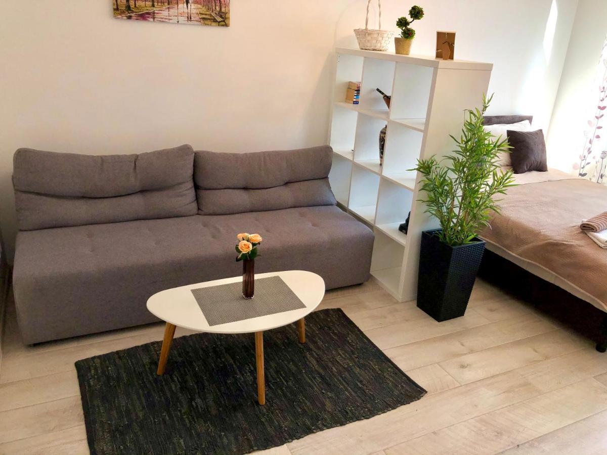 בלגרד Modern Studio מראה חיצוני תמונה